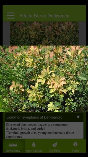 Nutrient Deficiencies by Crop(圖5)-速報App