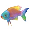 Fish 3D