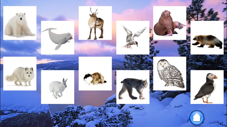 Animals North