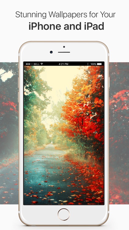 Wallpapers++ The best free wallpapers around