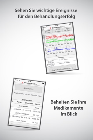 BlutdruckDaten screenshot 3