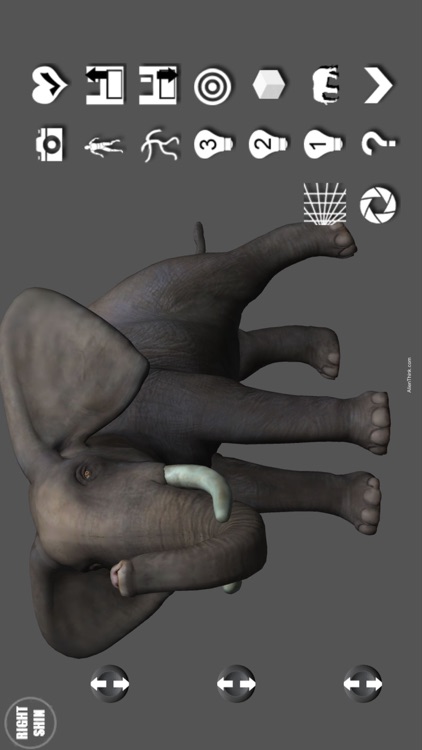 Elephant Pose Tool 3D