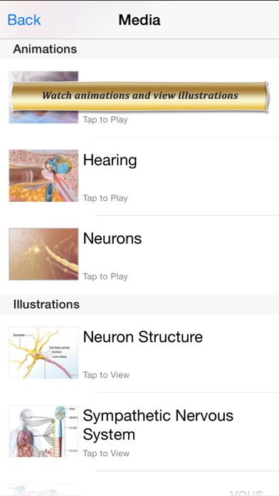 Brain and Nervous Anatomy Atlas: Essential Reference for Students and Healthcare Professionals Screenshot 4
