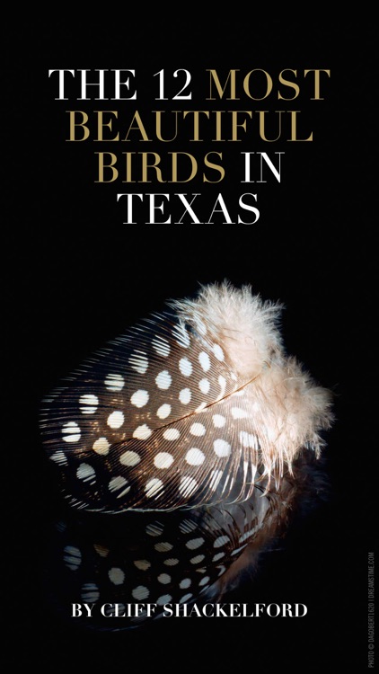 Texas Parks & Wildlife magazine screenshot-4