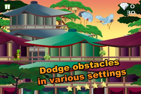 Cute Turtles Rooftop Run - Top Free Turtle Racing Game screenshot 4