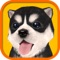 The most beautiful and realistic Dog Simulator available on App Store