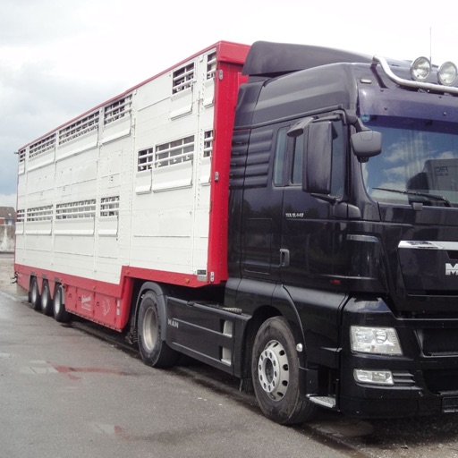 WST WS Trucks GmbH