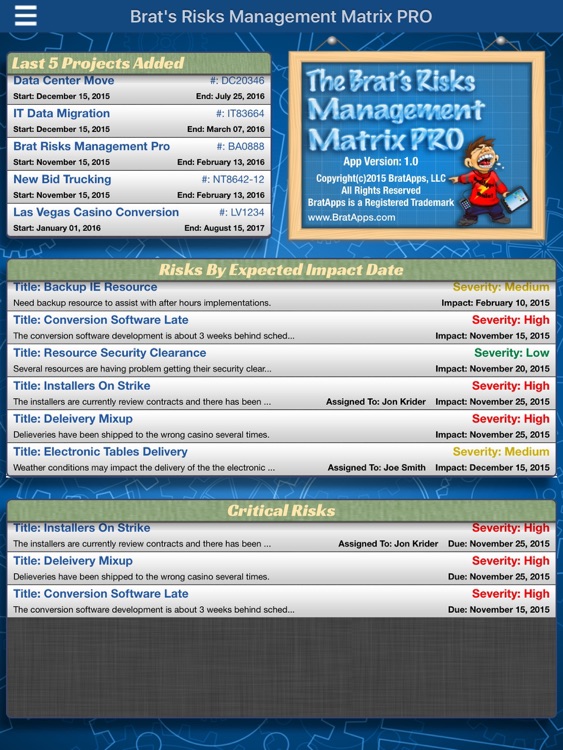 Brat Risks Management Matrix Pro by Jon Krider