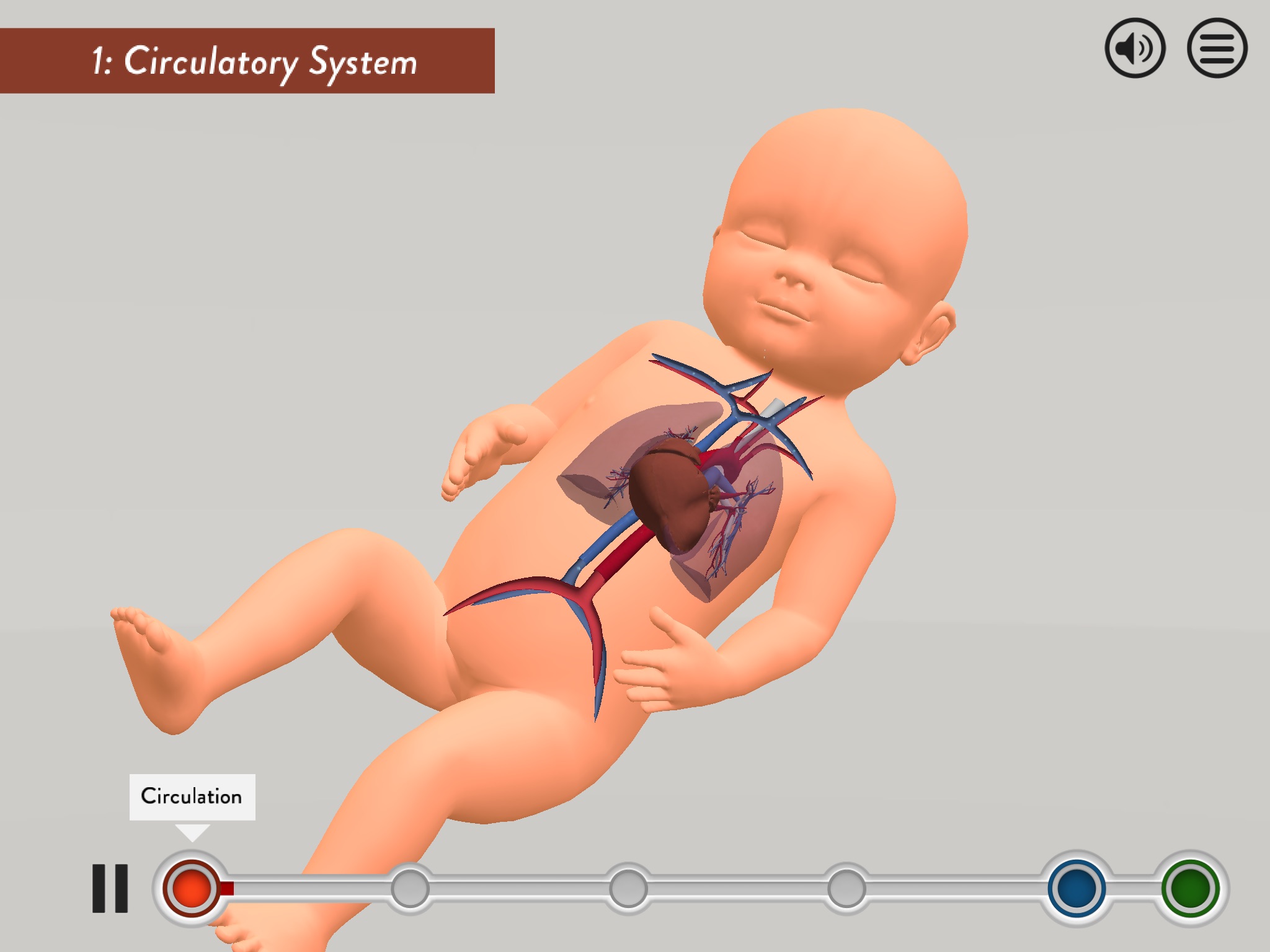 Child Heart Surgery screenshot 2