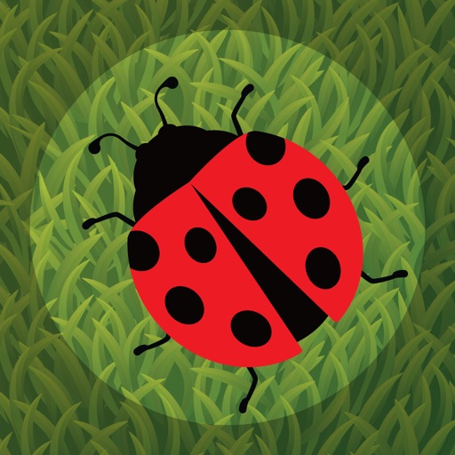 Bug Spot! iOS App