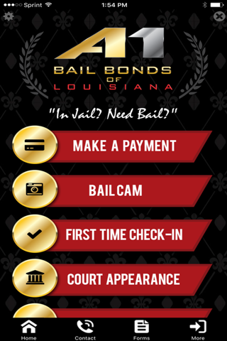 A-1 Bail Bonds Of Louisana screenshot 3