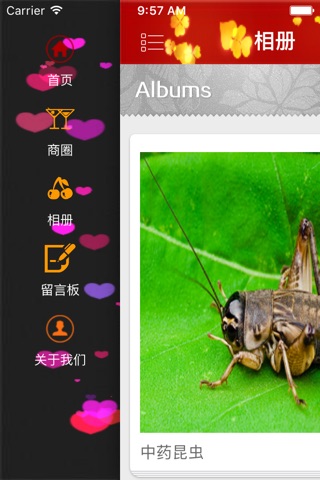 中药材网 screenshot 3