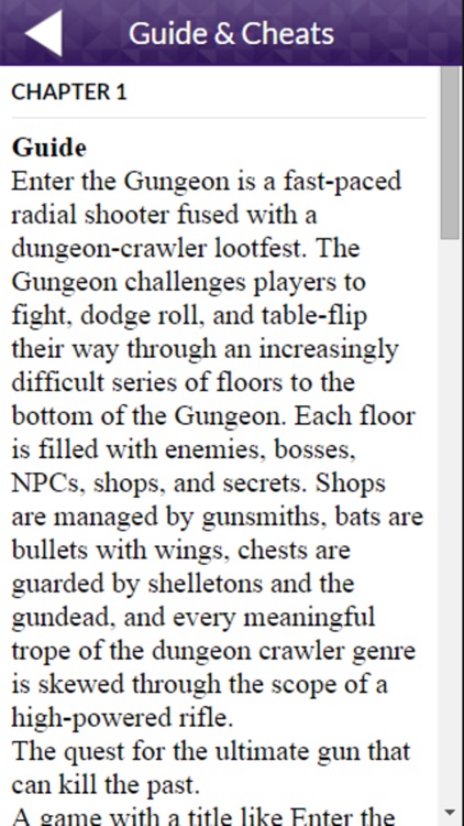 PRO - Enter the Gungeon Game Version Guide