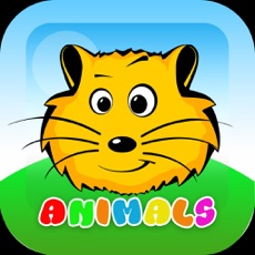 Activities of Animal Match Puzzle - Pair Game
