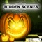 Hidden Scenes is a game similar to a jigsaw puzzle where you swap and flip the pieces to reveal the hidden scene