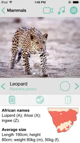 Game screenshot Sasol Mammals for Beginners (Lite): Quick facts, photos and videos of 46 southern African mammals hack