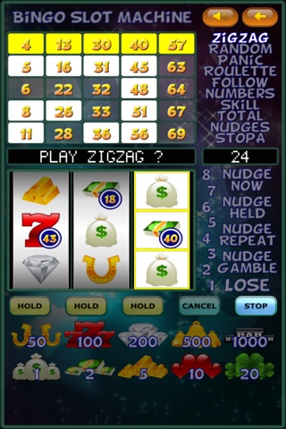 Bingo Slot Machine by Toftwood screenshot 2
