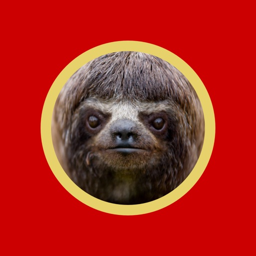 Sloth Eat Egg Please icon