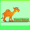 Camel Slalom