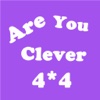 Are You Clever - 4X4 N=2^N