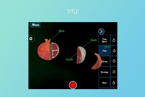 VR Pomegranate screenshot 4