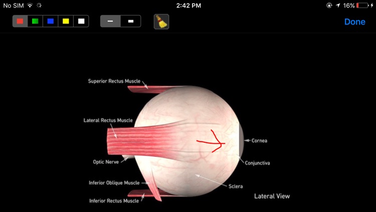 Sight Selector Lite