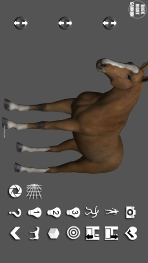 Horse Pose Tool