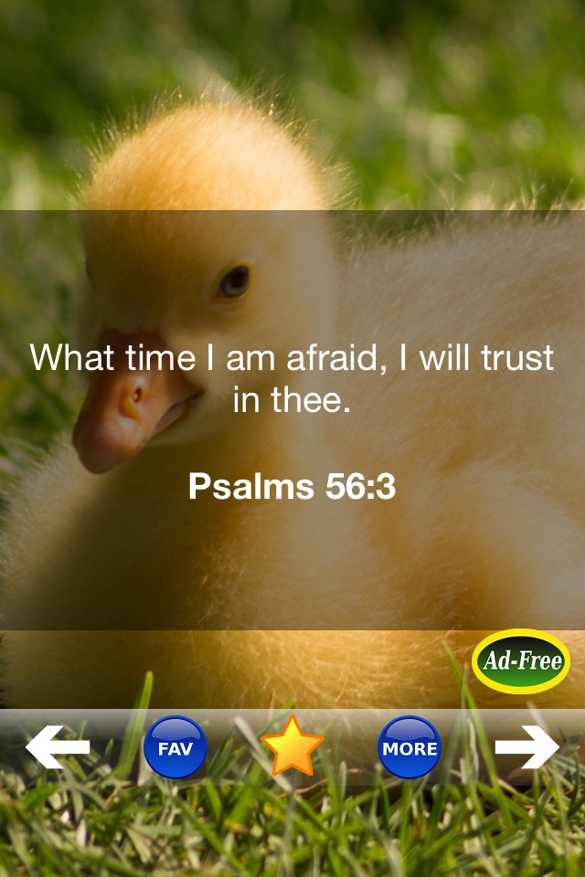 Bible Study for Kids FREE! Inspirational Verse of the Day App With Daily Devotionals & Inspirations! screenshot 3