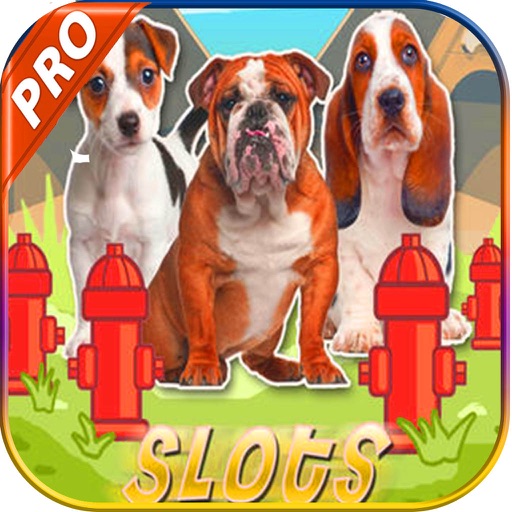 AAA Casino Slots Of Dogs: Spin Slots Machines Free HD icon
