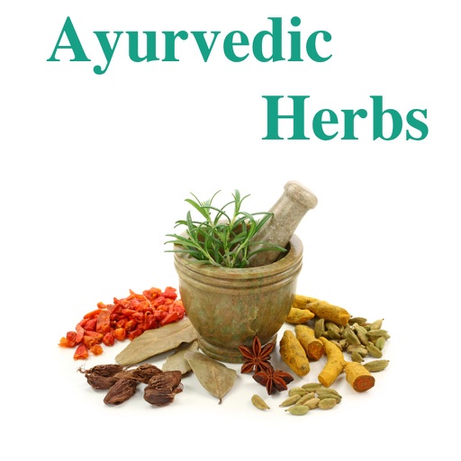 Ayurvedic Herb icon