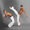 Martial Arts Techniques: Guide and Tutorial