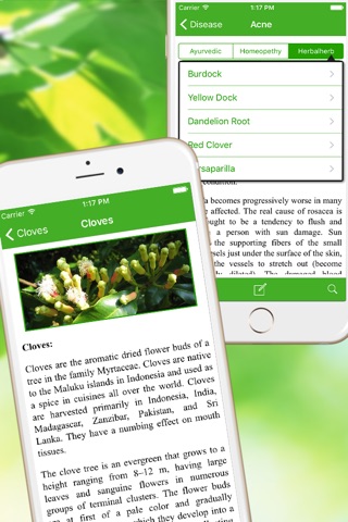 Natural Ayurvedic Remedies Herb Free screenshot 4