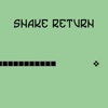 Snake Return