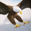 Free Eagle Attacking 2015
