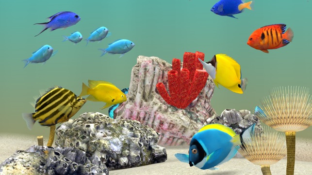 MyReef 3D Aquarium TV Lite(圖1)-速報App