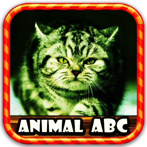 Figures Animal ABC Icon