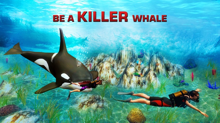 Killer Whale Simulator 3D – An Orca simulation game by Ahsan Fazal