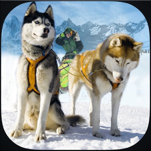 Winter Snow Dog Sledding Ski Simulator 3D Icon