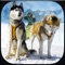 Winter Snow Dog Sledding Ski Simulator 3D