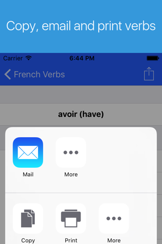 French Verb Conjugator screenshot 4