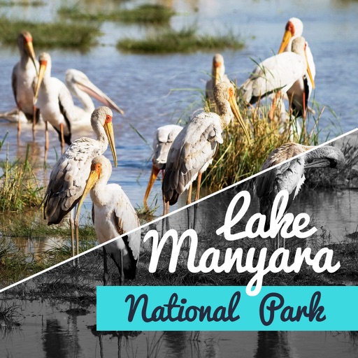 Lake Manyara National Park icon