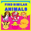Find Similar Animals