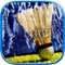 Game of Champions badminton fun player