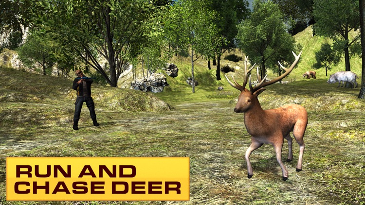 Wild hunting 3D – Bow arrow animal hunter game