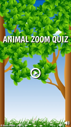 Animal Zoom Quiz