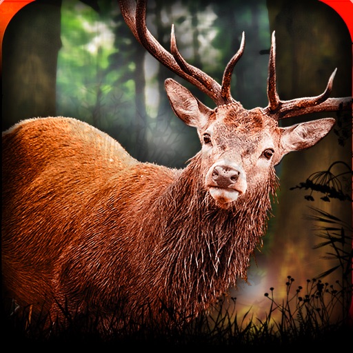 Safari Deer Hunter - 2016 icon