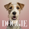 A+ The Doggie Magazine App - Dog Training, Obedience, Tips, Guides, Games & More For Your Puppy