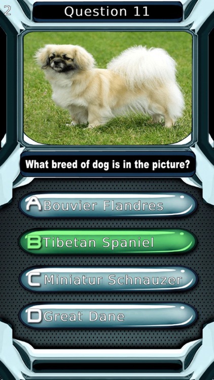 My Dog Breed Quiz for Animal Lovers - Free Trivia To Learn Cute Puppy Breeds Names screenshot-3