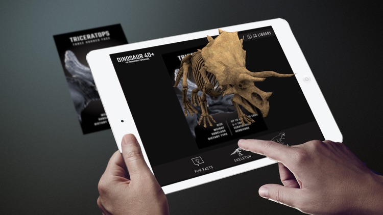 Dinosaur 4D+