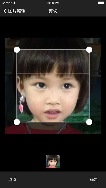 LOZ Photo 积木像素 screenshot-3